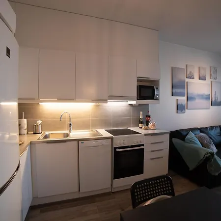 Апартаменты Arctic House In The Middle Of Рованиеми