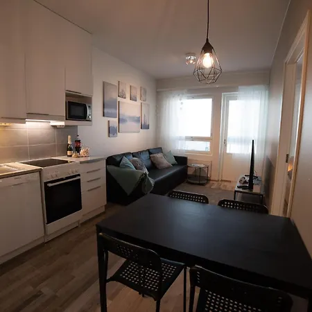Апартаменты Arctic House In The Middle Of Рованиеми